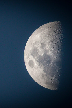 moonipulations:  Half Moon – Photography by Sonny G http://bit.ly/1tMoyyB #moonphotography #halfmoon #moon﻿