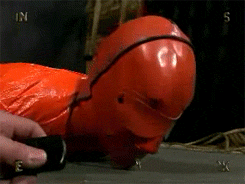 tanya-bound:  elyav:  boundinwonderland: Oh my, how lovely! Such a pretty little