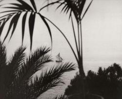 phear: Jacques Henri Lartigue, Vue de la Terrasse de Sacha Guitry, Cap d’Ail, 1928