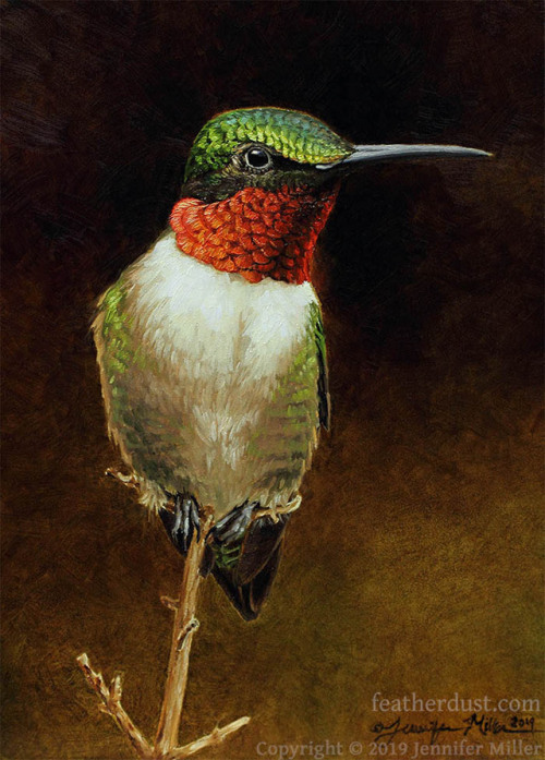  “Tiny Watchtower” Ruby-throated Hummingbird, 5"x7" oil on panel.These little 