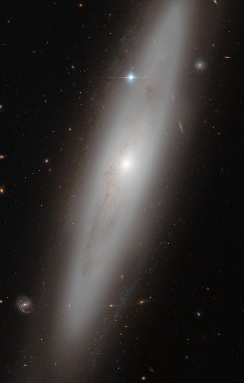 thedemon-hauntedworld:Hubble NGC 4866The constellation of Virgo (The Virgin) is the largest of the Z