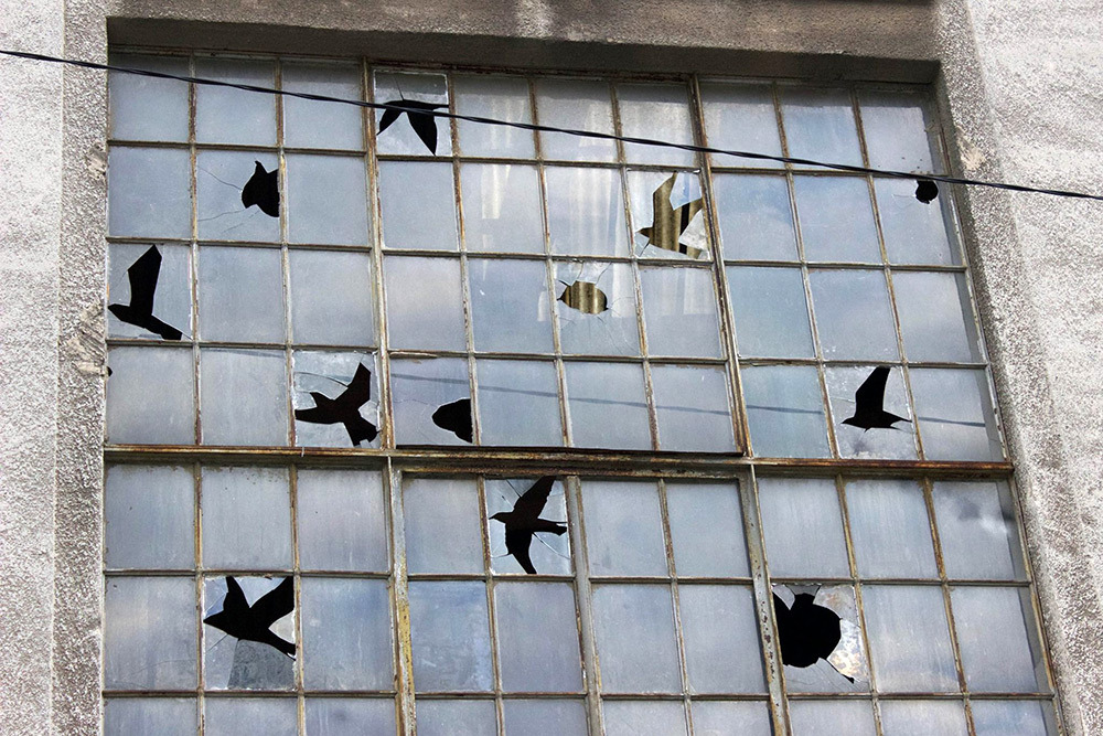 itscolossal:  Birds Appear in the Negative Space of Shattered Windowpanes in a New