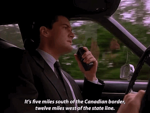 ☕️ Happy Twin Peaks Day 🌲 