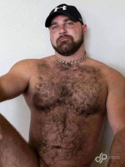 hairy chest - sexy muscle - mature men