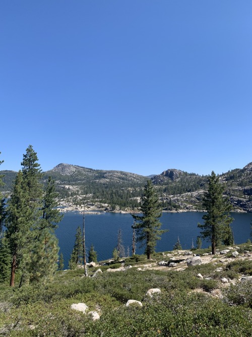 Located 25 miles back on Ice House Road in the Sierra Nevadas is Loon Lake. Its a larger high alpine