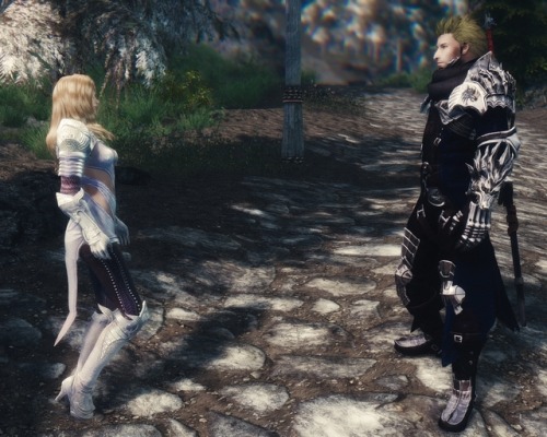 CustomVoice_HeroFollowerBalin VerUP!! LE版 :www.nexusmods.com/skyrim/mods/69224/ …? SE版: http: