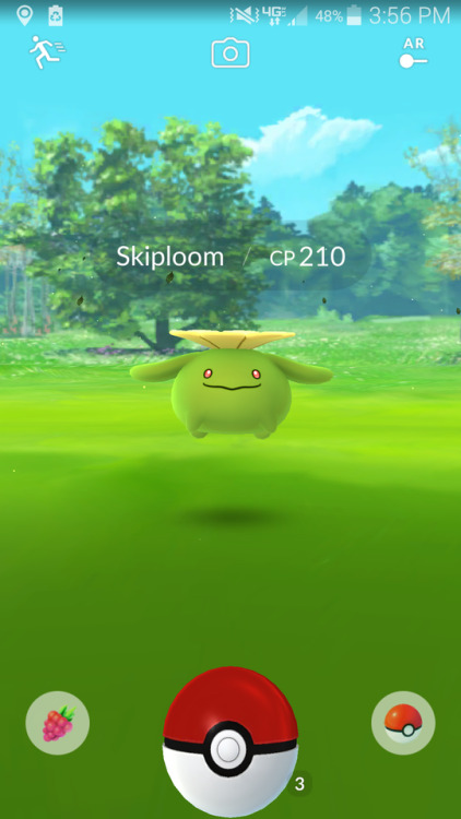 haven&rsquo;t seen a Hoppip, but I just caught a Skiploom