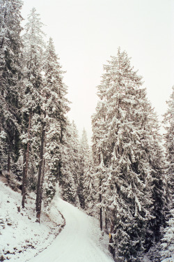 4nimalparty:  snowy road (by nasone) 