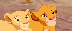 Disneyfansonly:  Love Disney? This Blog Is Everything Disney! ºoº 
