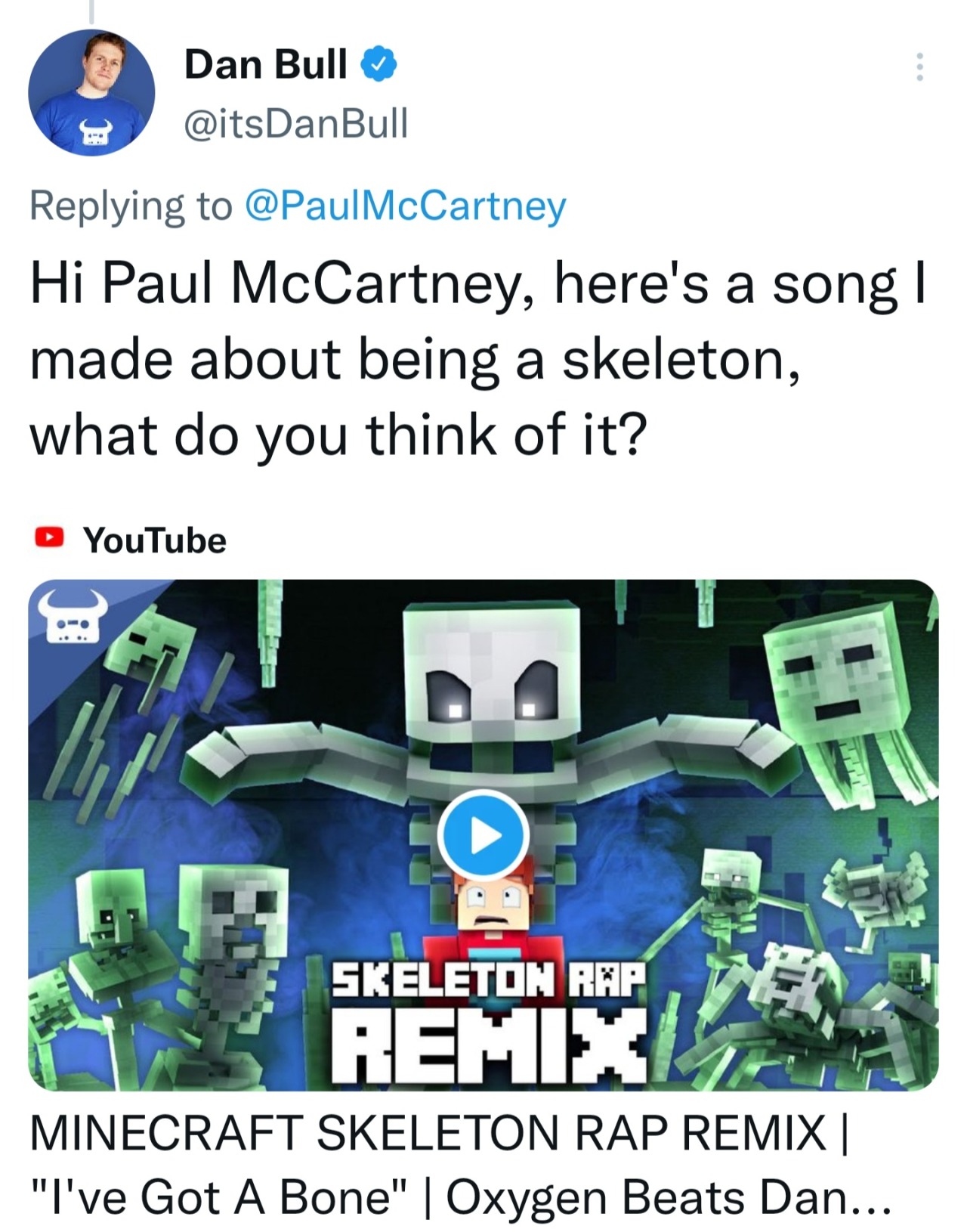 MINECRAFT SKELETON RAP REMIX, I've Got A Bone