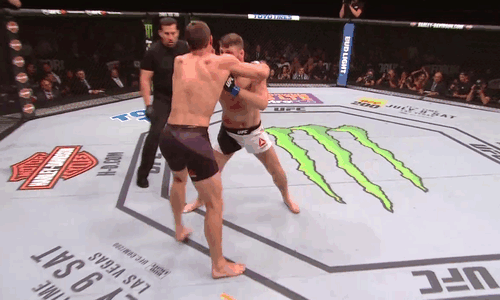 ildirigente:  Michael Bisping shocks the world with 1st-round KO of   Luke Rockhold
