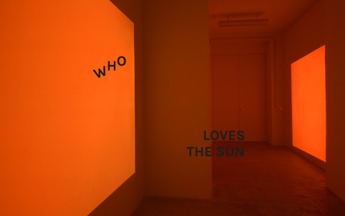 tumblr photo superficial-vessels 0