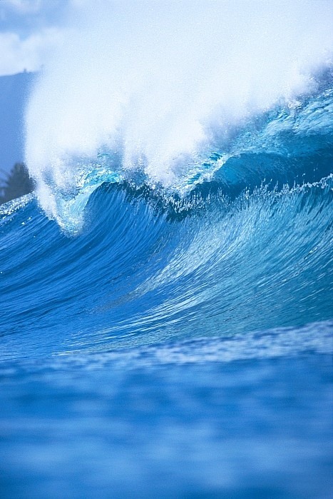 wolverxne:  Wave with whitewash | Vince Cavataio 