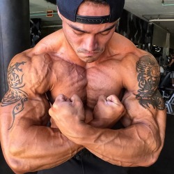 Adonis Files