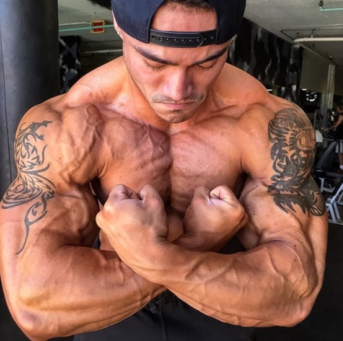 Adonis Files
