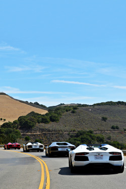  Aventador Train | © | AOI 