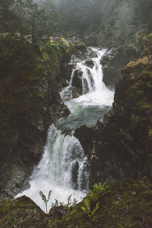 Little Qualicum Falls // Rob Sese 