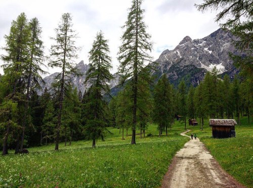 Hopeless wanderer. #southtyrol #mountains #nature #wanderer #wanderlust
