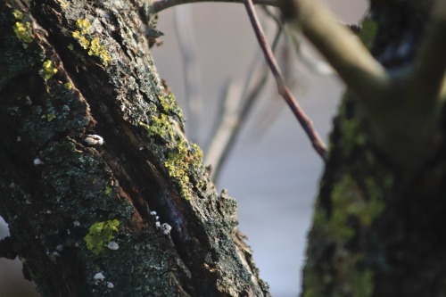 Spring Is Gaining Momentum And It's So Exciting…