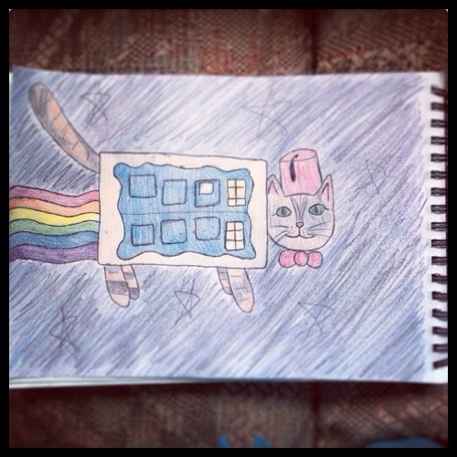 kayging17:  So.. It’s a nyancat fly flying through space in a tardis pop tart wearing a fez an