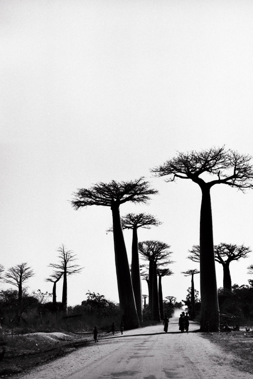 Madagascar.INSTAGRAM: @boriscapman​