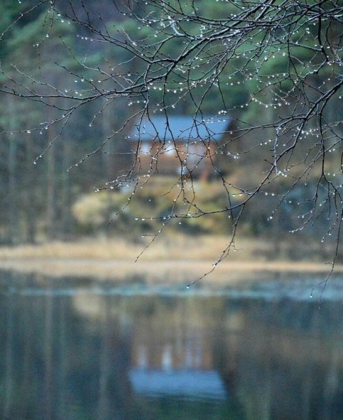 forevernoon:    via Billy Lee  