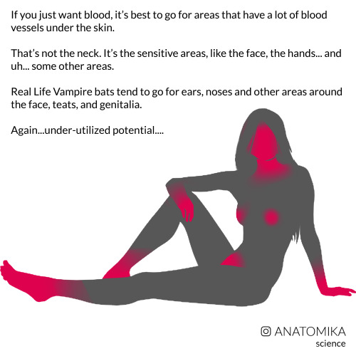 theoutlawstar:sockpansy:arsanatomica:A few years ago, I went to an anatomy conference and they had a
