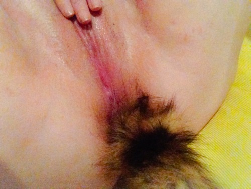 hercurves:  And one last set with my new fox tail butt plug from my Wish List! Are these I got too carried away to capture anymore photos!  Ok so what do you all think??