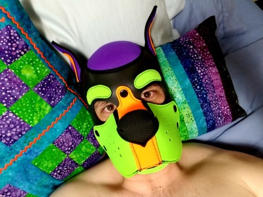alphapupastro81:  Aaaaaaaarrrooooooooooooo!!!! Two and a half days without my Pup. Sad pup here….I need my @pupazure 😔
