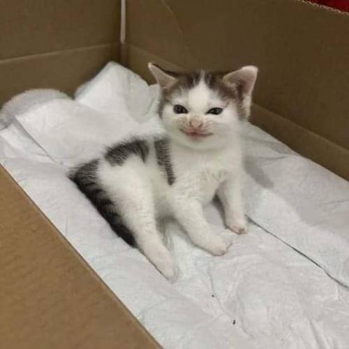 03011944he-blog - Helena