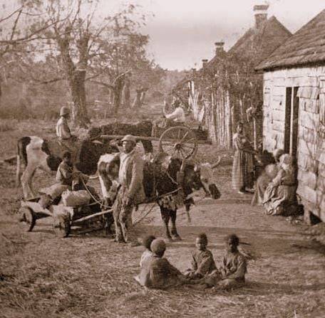 Enslaved African-Americans on a South Carolina plantation in 1860. Nudes &amp; Noises  