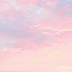 Miss Moonlight