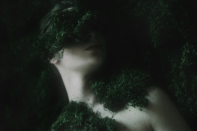 untitled by collinmcadoo 