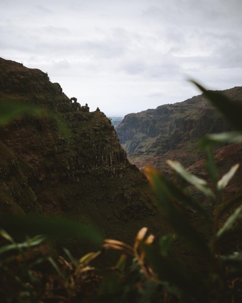 johncwingfield: Looking out over the edge of an 800 foot waterfall. The scale of this place is immen