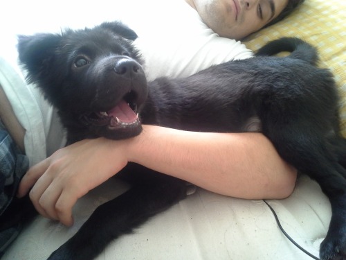*YAAAAWWWWWNNN*&ndash; &hellip;OH HAIIIIII. JUST CUDDLIN WIF DADDEHHH