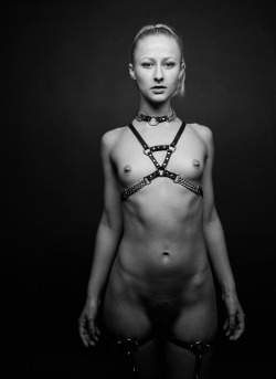 Ladysensuality:  Tiffany Helms By Chip Williscollar And Harness By Leather Werxsgarters
