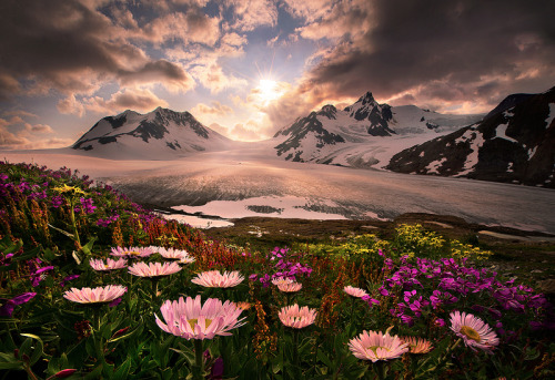 awkwardsituationist:  photos by marc adamus along the west coast of north america, from california and washington state up to british columbia and alaska. 