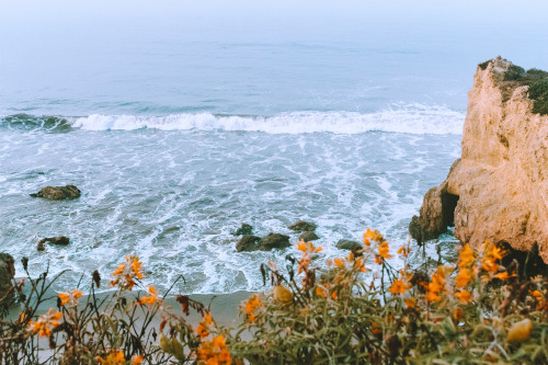 sea story; el matador beach, californiainstagram