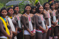 pachatata:  Kayapo women. Brazil by Alice
