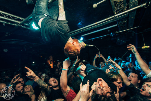 ashleabeaphotography:Frank Carter and The Rattlesnakes Clwb Ifor Bach, Cardiff - 28.10.15Flickr