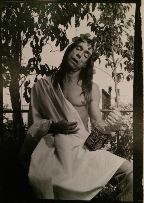 icky-pop: Iggy Pop 