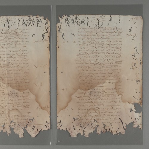 houghtonlib:Frass: debris or excrement produced by insects. This manuscript is part of the José Agus