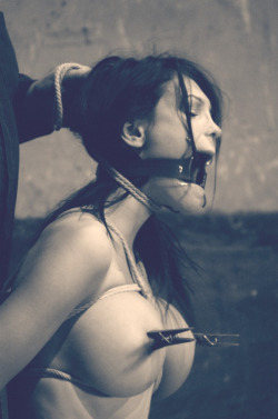 porn-shock-collar:  Pegs_and_rope 