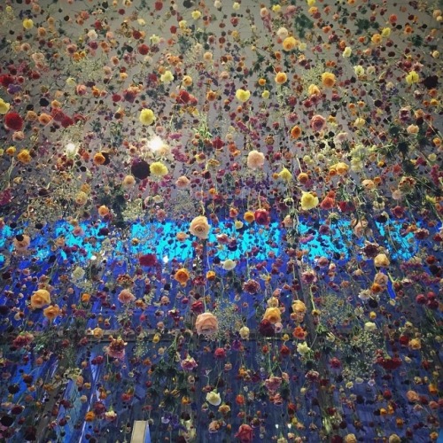 uncoolgallery:Rebecca Louise Law |