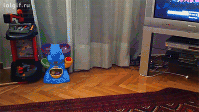 funny-gif-1:  Other Funny Gİfs http://funny-gif-1.tumblr.com/