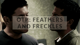 itsdeancas:  Destiel  + tags 