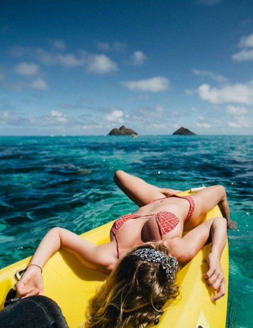 playboyplaymatesarajeanunderwood:  NEXT -&gt;    Young Playboy Playmate COED