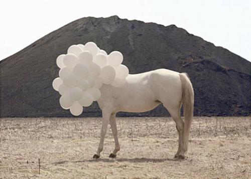 diamond horn