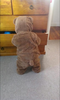 poochcrew:  Put my son to sleep in his new onesie, woke up to a bear raiding my drawers. 