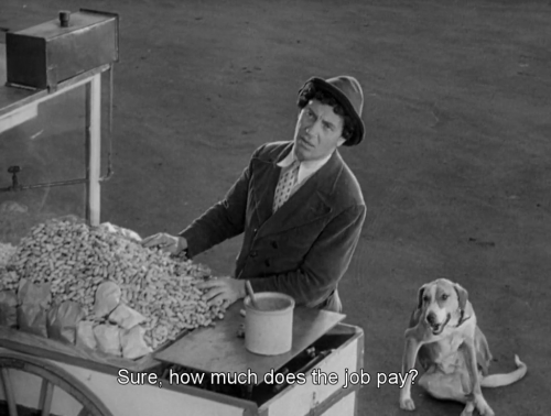 freshmoviequotes:Duck Soup (1933)